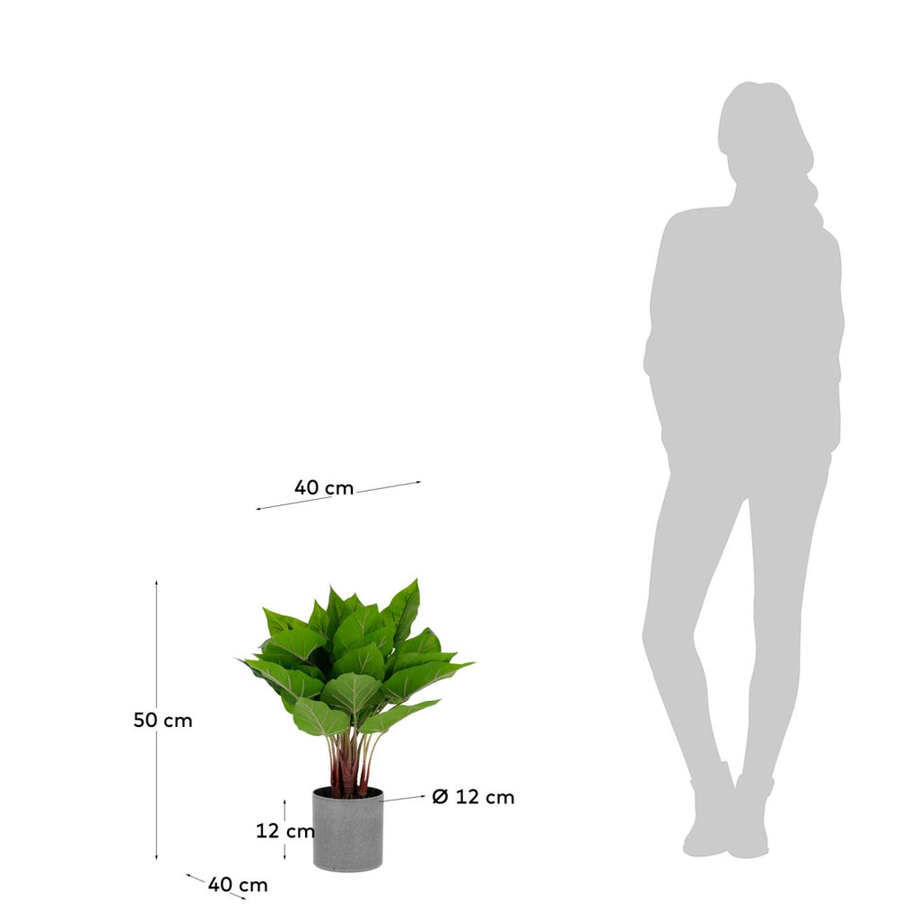 Planta artificial Anthurium amb test de ciment 50 cm