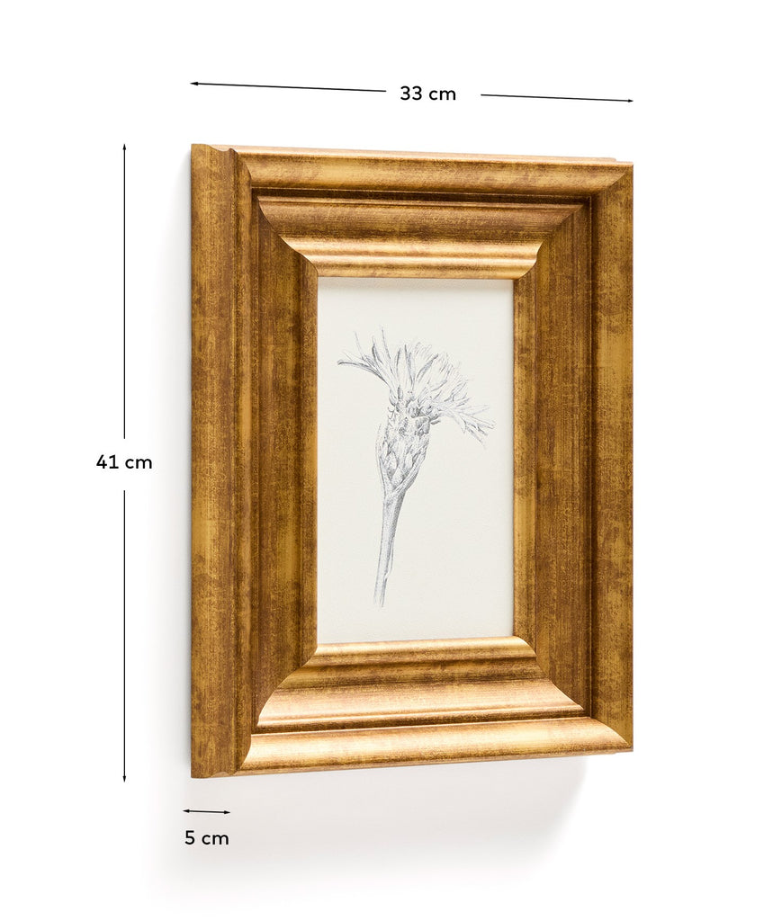 Cuadro Yalira ilustración botánica 33 x 41 cm