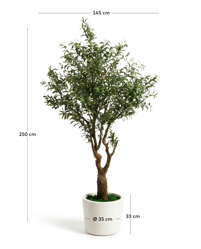 Arbre artificial d’olivera amb test blanc 250 cm
