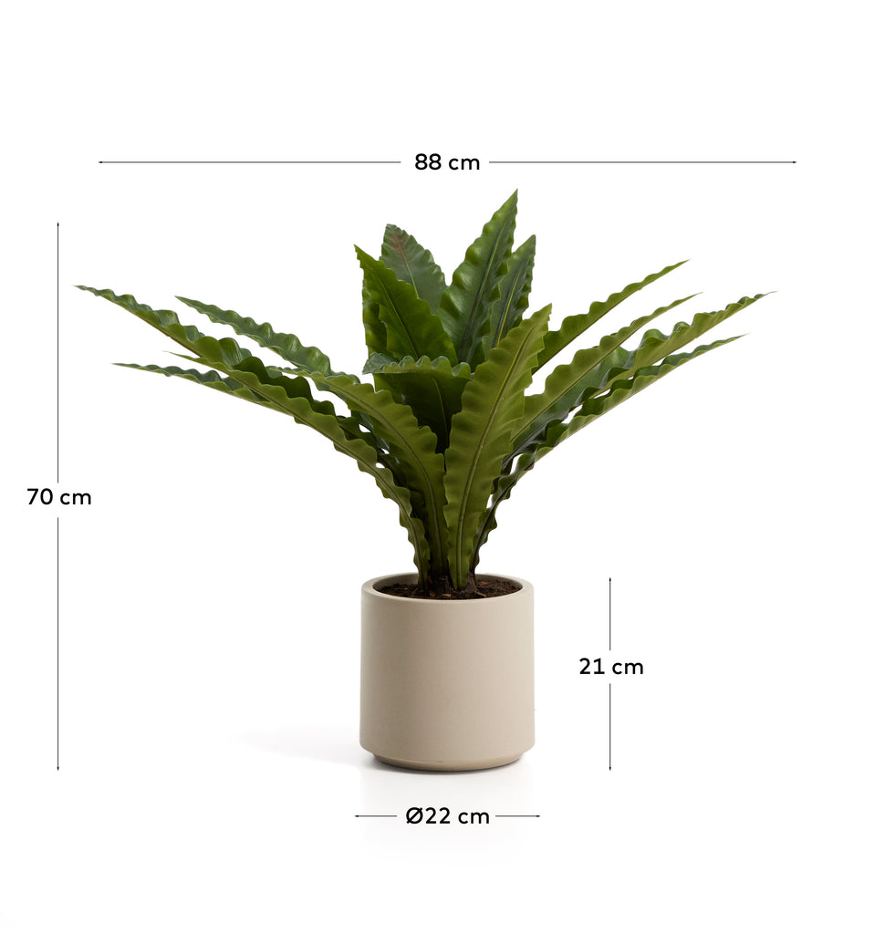 Planta artificial Neottopteris amb test blanc 70 cm