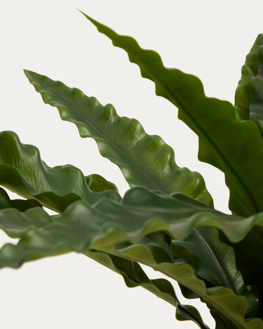 Planta artificial Neottopteris amb test blanc 70 cm