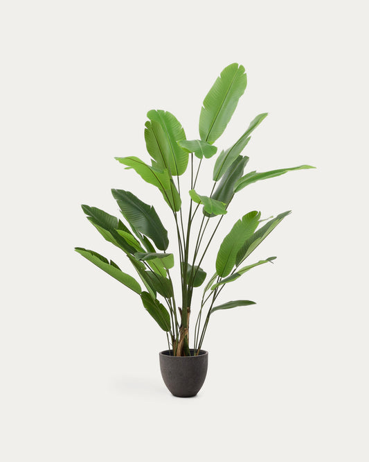 Arbre artificial Banano amb test negre 210 cm