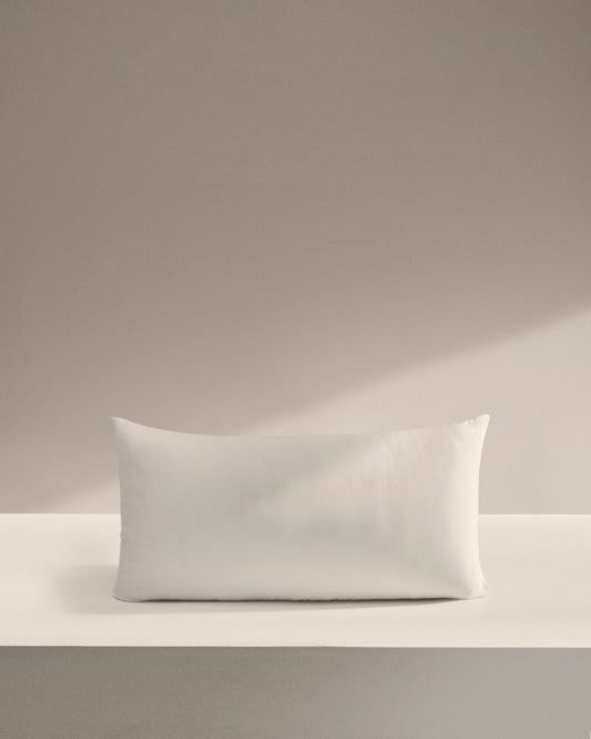 Coixí Duca de 10% plomissol i 90% ploma 70 x 40 cm