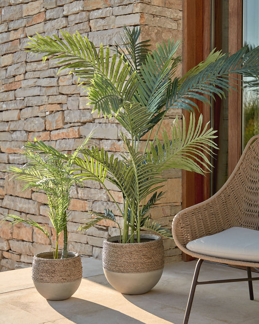Planta artificial Palmera amb test negre 70 cm