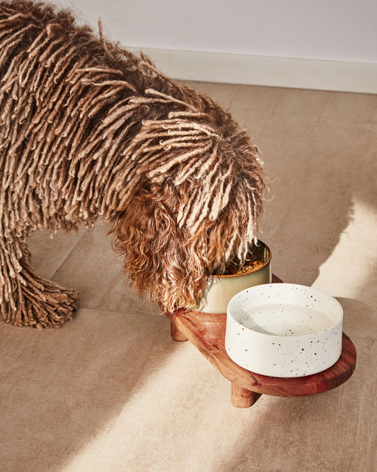 Conjunt de 2 bols menjadora/abeurador mascota Dumbi blanc i marró Ø 14 cm
