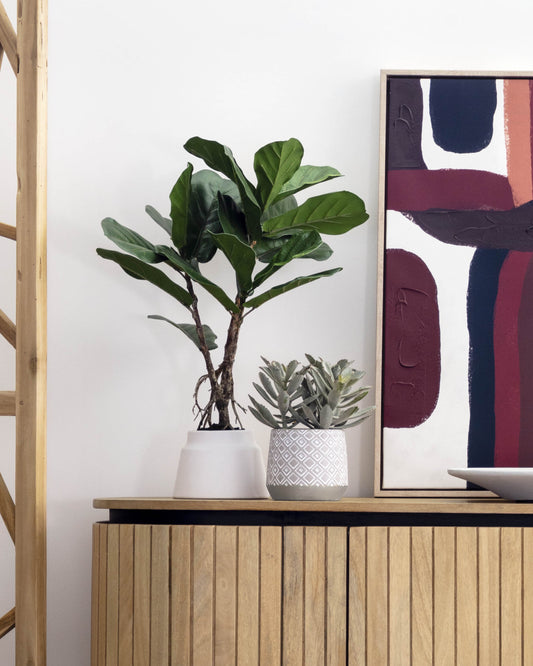 Planta artificial Lyrata amb test de ceràmica blanc 60 cm