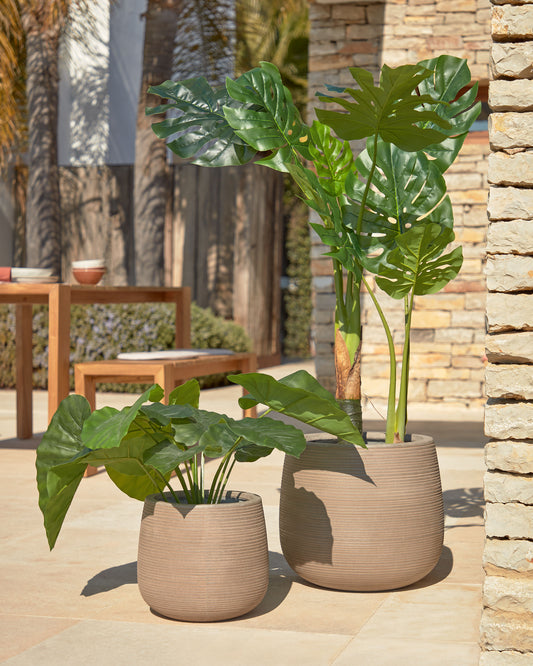 Planta artificial Alocasia Odora amb test negre 57 cm
