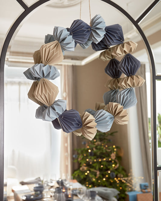 Corona Willemina multicolor