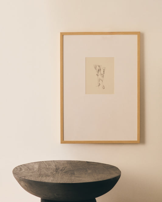 Cuadro Lirena ilustración botánica 50 x 70 cm