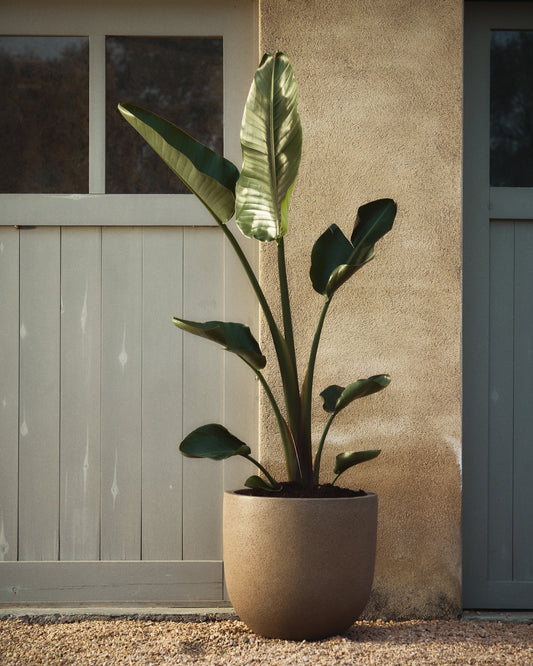 Conjunt de 2 portatestos Selvi d’efecte pedra marró fosc Ø37 cm