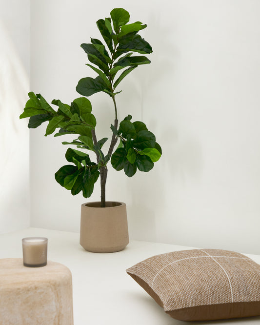 Planta artificial Ficus amb test negre 150 cm