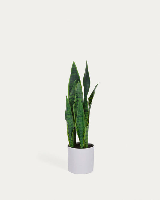 Planta artificial Sansevieria amb test blanc 55 cm
