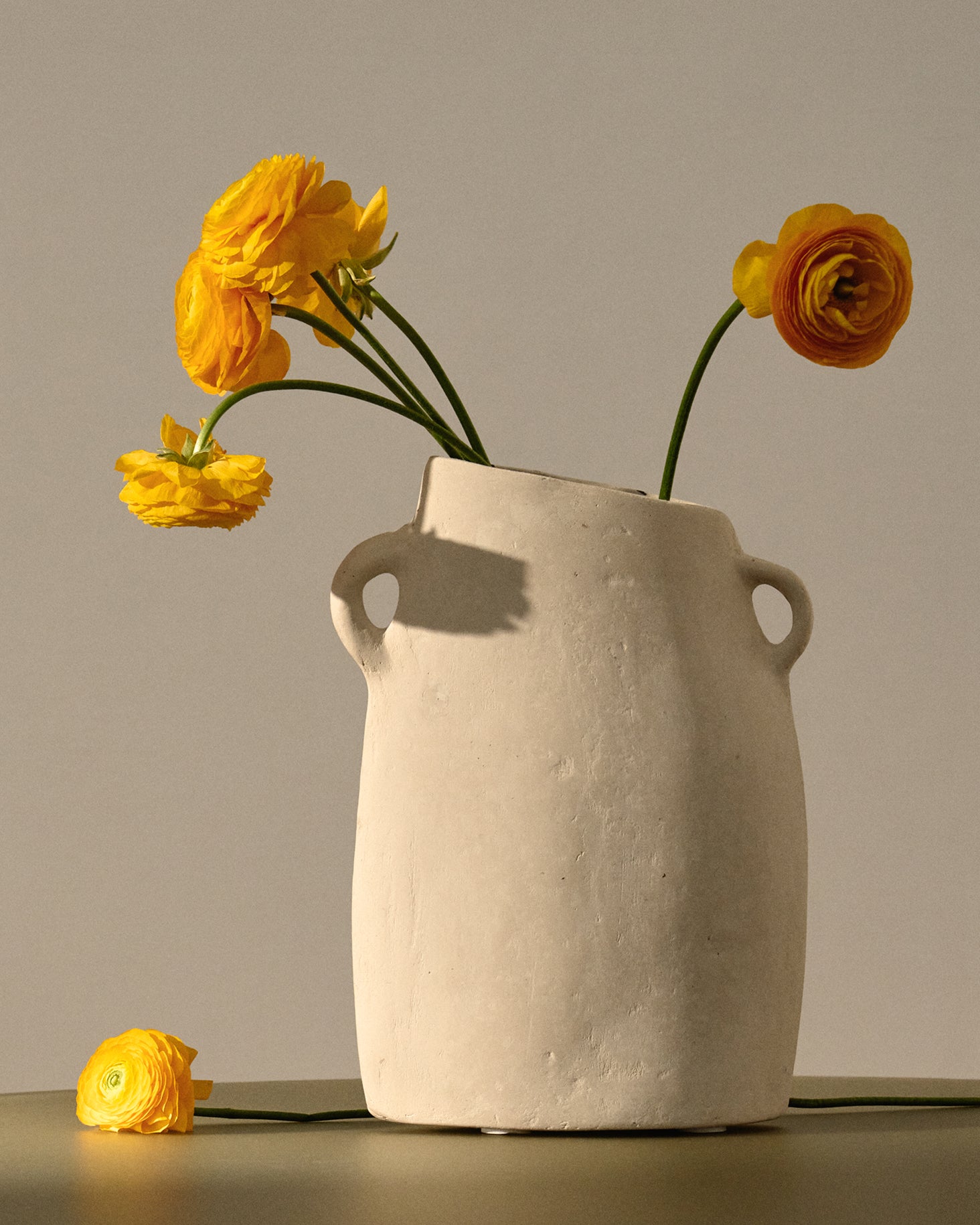 template image 13